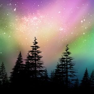 Meet your Posher, Jane